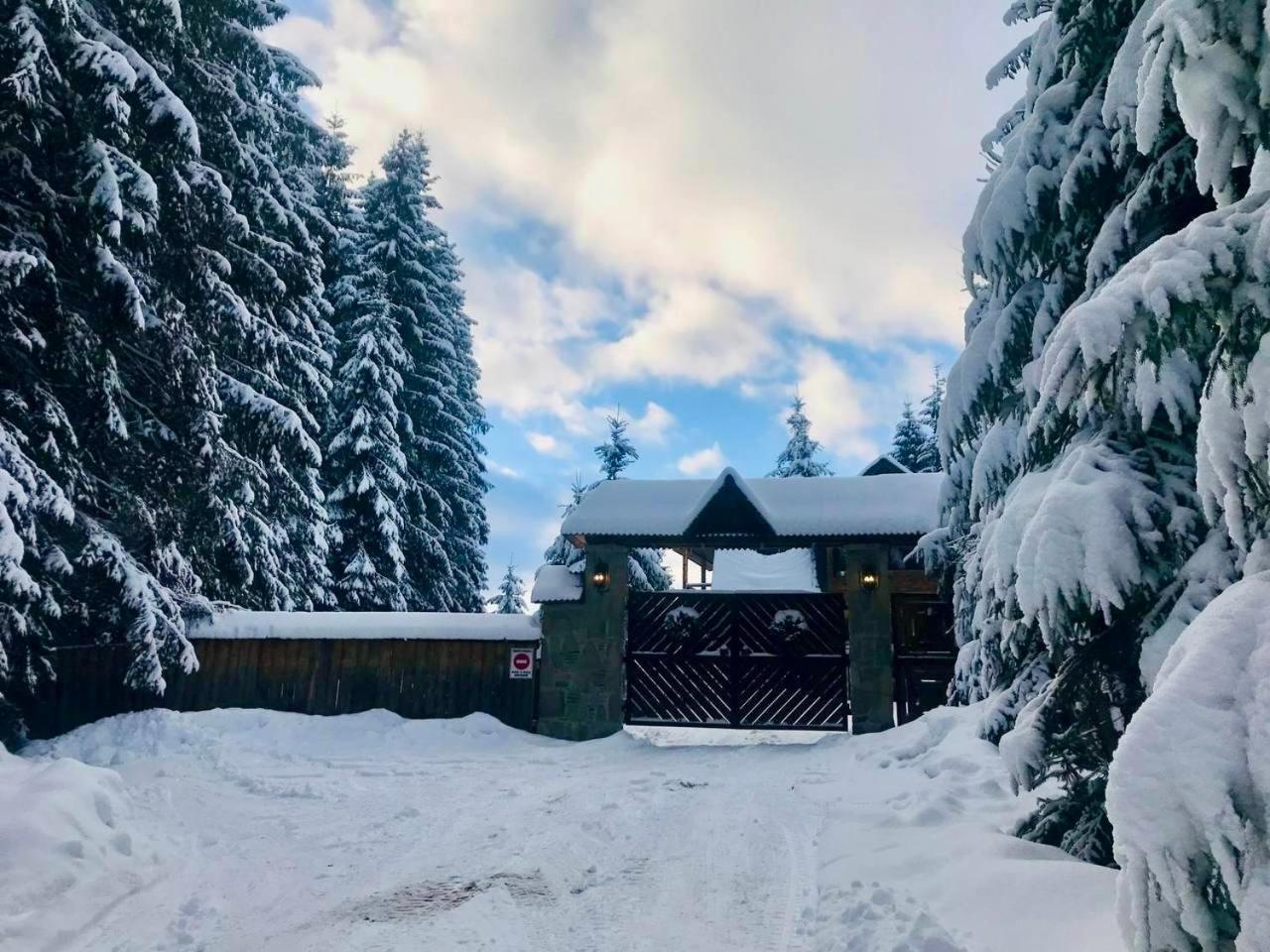 Cottage Lavanda Окремий Котедж З Каміном Bukovel Exterior photo