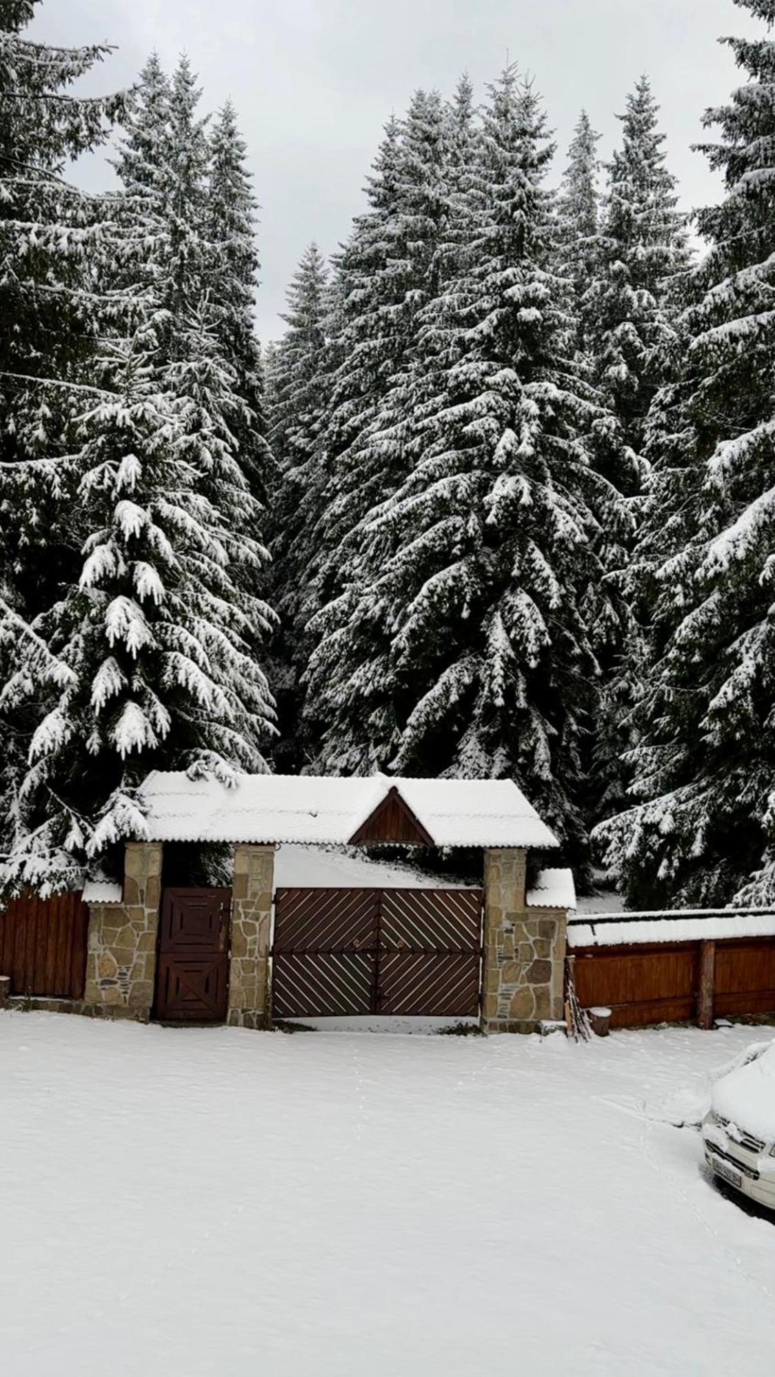 Cottage Lavanda Окремий Котедж З Каміном Bukovel Exterior photo